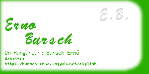 erno bursch business card